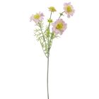 Ördögszem ág 4v. pink M60cm 24db/#