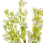 Fátyolvirág csokor 5ágú M34cm 24db/#