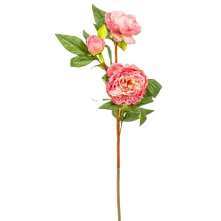Peoni ág 3v. rózsaszín M76cm 12db/#