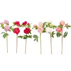 Peoni ág 3v. mix M76cm 12db/#