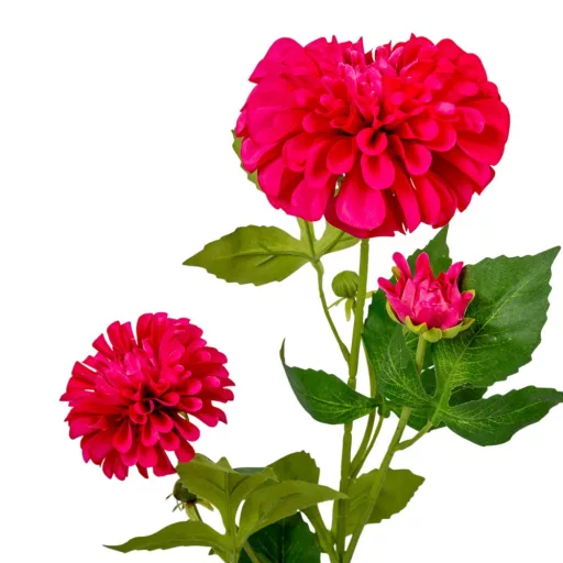 Dália ág 3v. mix M70cm 24db/#