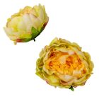 Boglárka virágfej zöld-krém D10cm 12db/csom