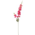 Szarkaláb szálas sötétrózsaszín M85cm 36db/#