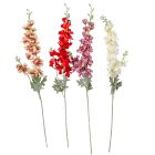 Szarkaláb mix M85cm 36db/#