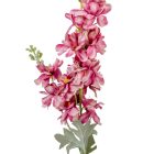 Szarkaláb mix M85cm 36db/#