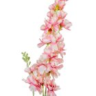 Szarkaláb szálas fehér-pink M85cm 36db/#