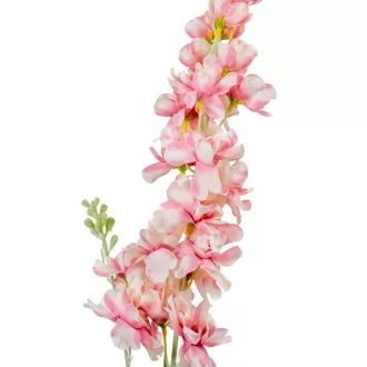 Szarkaláb szálas fehér-pink M85cm 36db/#