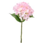 Hortenzia szálas rózsaszín M32cm 36db/#
