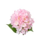 Hortenzia szálas rózsaszín M32cm 36db/#