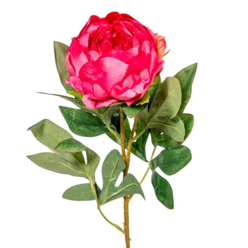 Pünkösdi rózsa mix M61cm 48db/#