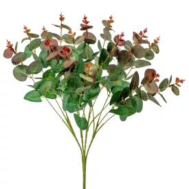 Eukaliptusz bokor 4ágú M50cm 12db/#