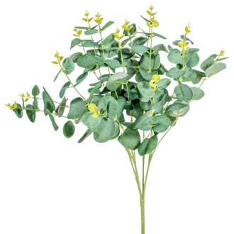 Eukaliptusz ág 4ágú M48cm 12db/#