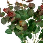 Eukaliptusz bokor 4ágú M50cm 12db/#