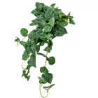 Zöld futó 60cm 12db/#