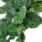 Zöld futó 60cm 12db/#