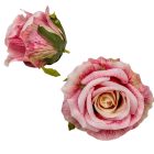 Rózsa virágfej mályva D10cm 12db/csom