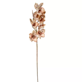 Orchidea ág M86cm