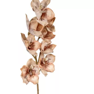 Orchidea ág M86cm