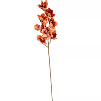 Orchidea ág M86cm