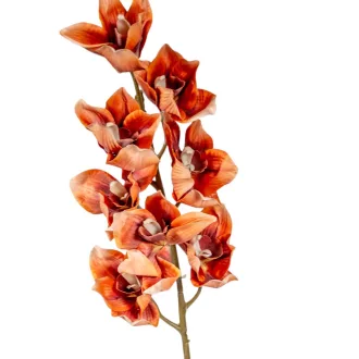 Orchidea ág M86cm
