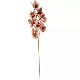 Orchidea ág M86cm