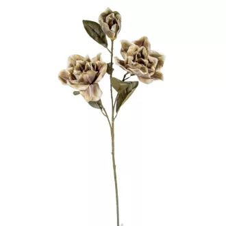 Magnólia ág 3v. M80cm
