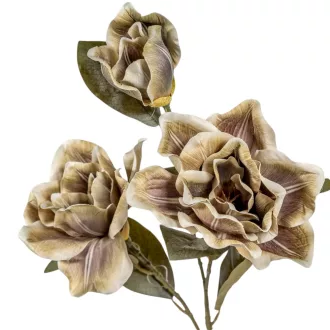 Magnólia ág 3v. M80cm