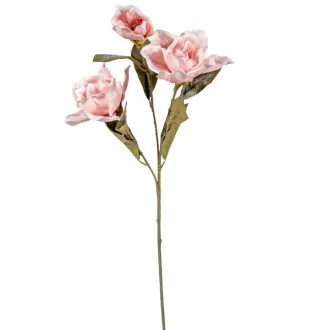 Magnólia ág 3v. M80cm
