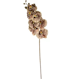 Orchidea ág M90cm