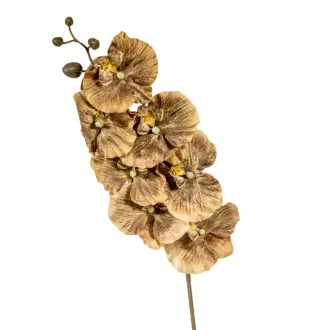 Orchidea ág M90cm