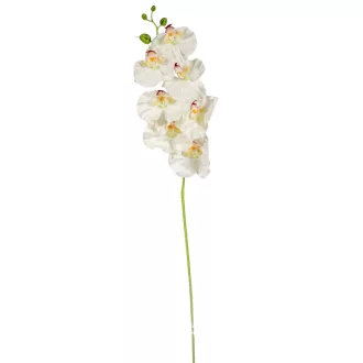 Orchidea ág fehér-zöld M91cm 12db/#