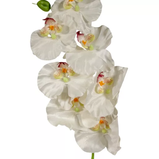 Orchidea ág fehér-zöld M91cm 12db/#