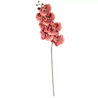 Orchidea ág M90cm
