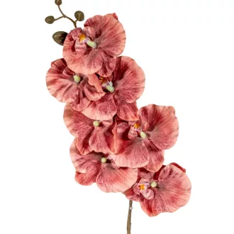 Orchidea ág M90cm