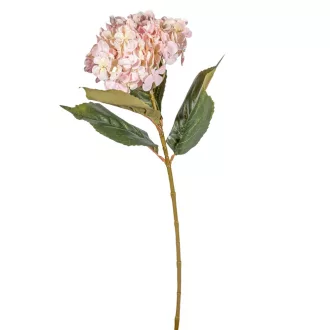 Hortenzia szálas M66cm 12db/#