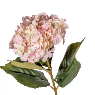 Hortenzia szálas M66cm 12db/#