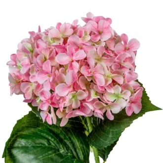Hortenzia szálas rózsaszín M65cm 12db/#