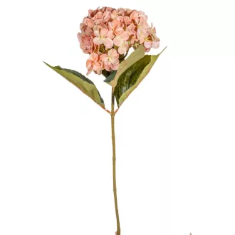 Hortenzia szálas M66cm 12db/#