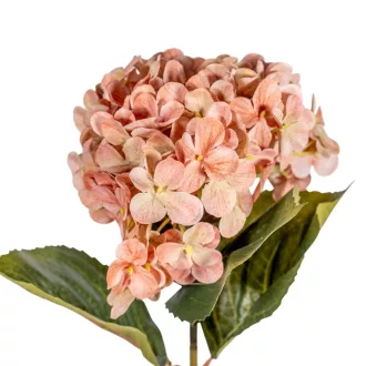 Hortenzia szálas M66cm 12db/#