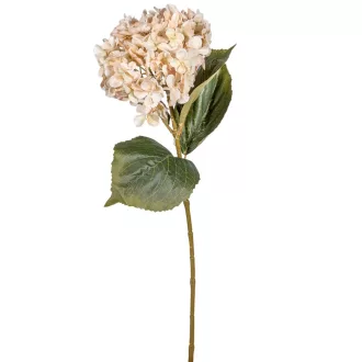 Hortenzia szálas M66cm 12db/#