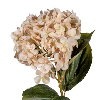 Hortenzia szálas M66cm 12db/#