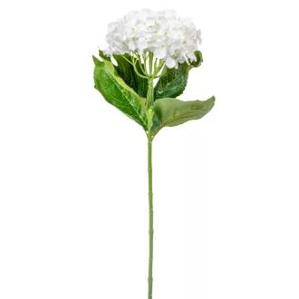 Hortenzia szálas fehér M35cm 12db/#