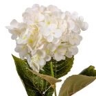 Hortenzia szálas fehér M60cm 24db/#