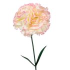 Szegfű szálas mix M60cm 72db/#