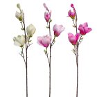 Magnólia ág 4v. mix M80cm 36db/#