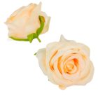 Nyílt rózsafej D7cm APR 12db/csom