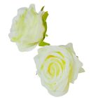 Nyílt rózsafej D7cm krém 12db/csom