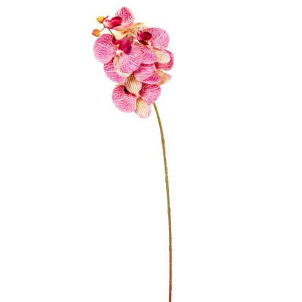 Orchidea szálas M70cm 36db/#