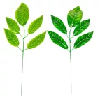 Magnólia leveles ág M58cm 12db/szín/köteg