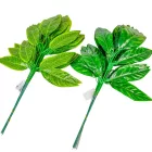 Magnólia leveles ág M58cm 12db/szín/köteg